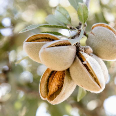 Almonds