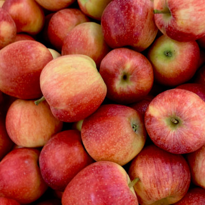 Apples