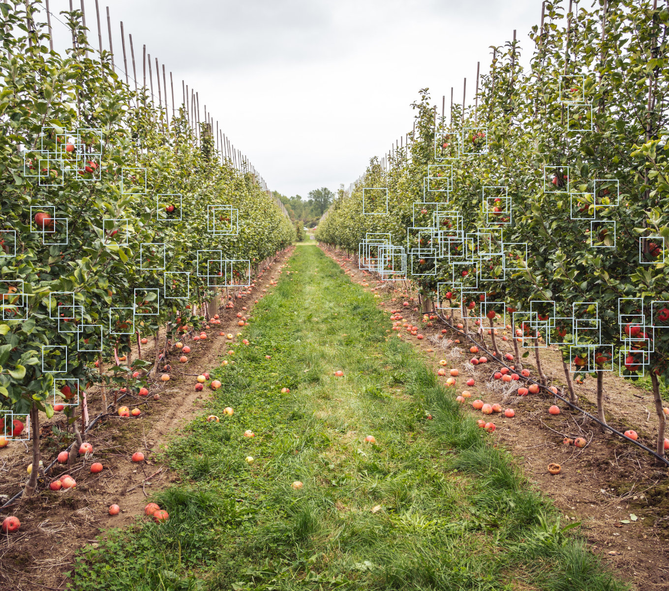 Green Atlas orchard scanning capabilities