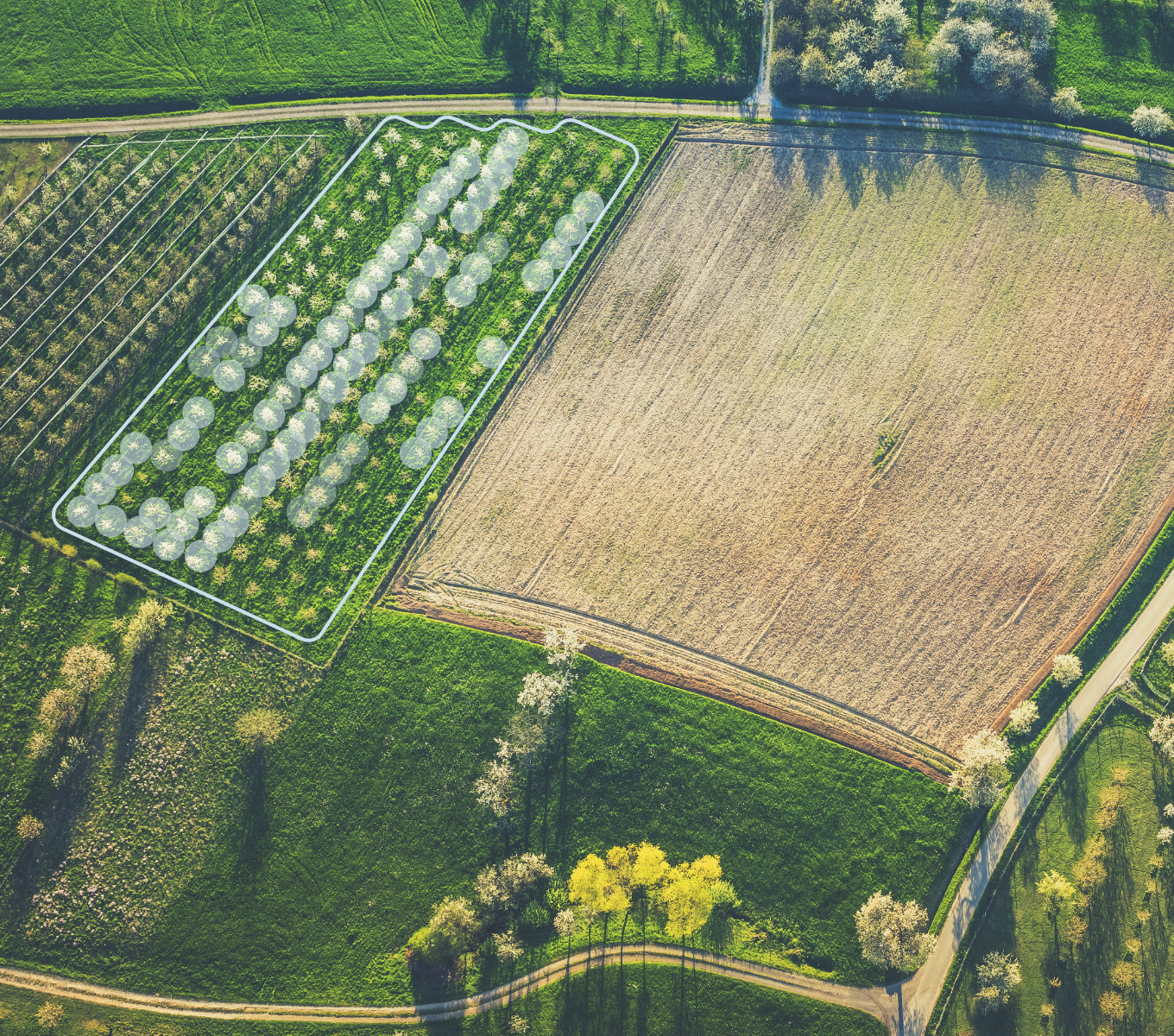 Know your orchard