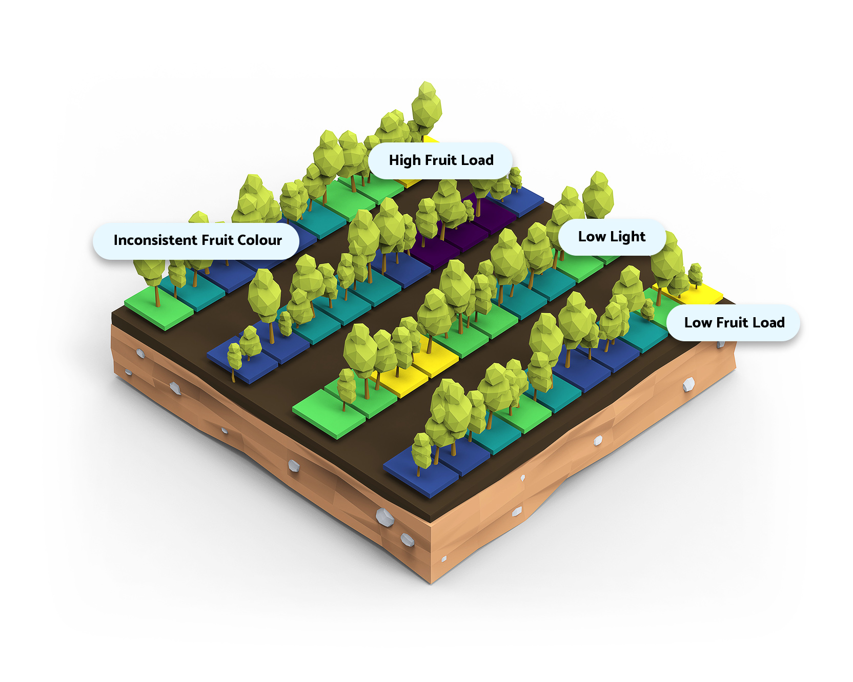 Cartographer Process - Take Action!